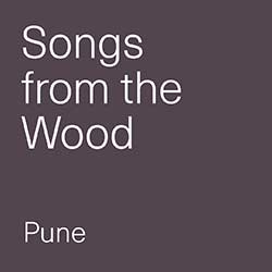 Logo - Songs From The Wood